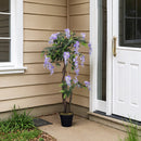 Breeins Artificial Flowers Plant in Pot for Home Decor Purple