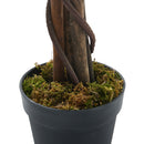 Garden Sanctuary Lifelike Artificial Willow Tree 180cm Tall