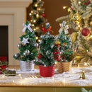 Lifeideas 3PCS Mini Tabletop Christmas Trees