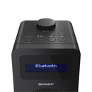 Sharp Tokyo Mono DAB+ Radio - Midnight Black