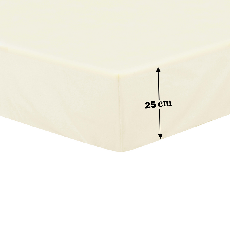 Lewis's Non-Iron Percale Sheet Range - Cream