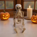 Realistic Posable Hanging Skeleton for Halloween