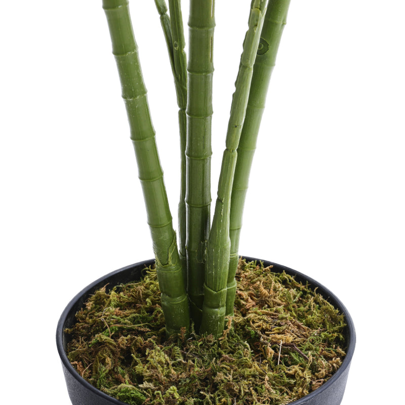 Lifeideas Indoor Decorative Green Palm Plant Ornament