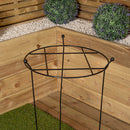 80cm X 45cm Large Cottage Heavy Duty Black Metal Herbaceous Garden Plant Support Grow Through