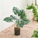 Lifeideas Realistic Turtle Shell Leaf Indoor Decoration