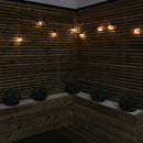 4.5m Set Of 10 Connectable Festoon Bulb Lights In Warm White With Timer Function