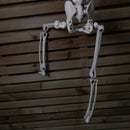 90cm (3ft) Posable Full Body Halloween Skeleton Decoration With Movable Joints