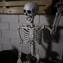 90cm (3ft) Posable Full Body Halloween Skeleton Decoration With Movable Joints