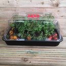 38cm Unheated Grostart Midi Propagator Seed Starter Tray