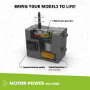 Stem Paleontology Learning About Dinosaurs