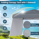 300 X 300 Cm Pop Up Canopy Tent With 1 Sidewall And Portable Backpack-Grey