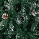 5ft (1.5m) Tall Rocky Mountain Pine Christmas Tree with 526 Snow Tipped Branches & Pinecones