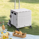Breeins Multiuse Rolling Folding Utility Crate