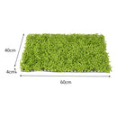 Lifeideas Artificial Living Wall Hedge Plant Panel