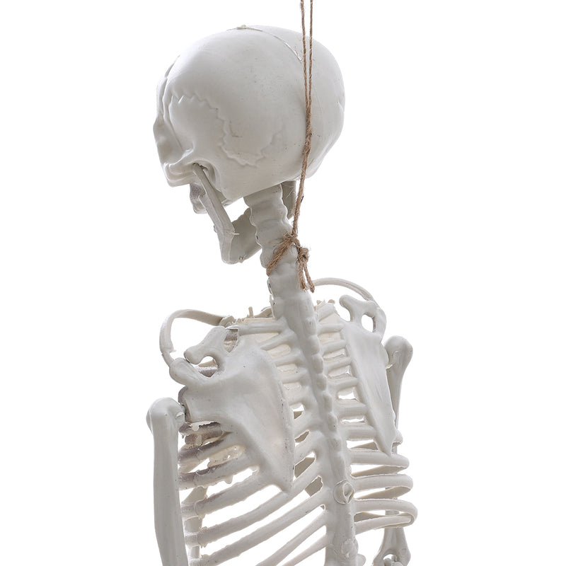 Poseable Skeleton Props for Halloween Party Decoration