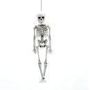 Realistic Posable Hanging Skeleton for Halloween