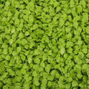 Lifeideas Artificial Living Wall Hedge Plant Panel