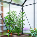 Outsunny Polycarbonate Walk-in Garden Greenhouse W/ Sliding Door