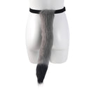 Cosplay Fox Tail and Ear Headband Set