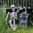 Posable Full Body Skeleton Prop