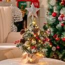 Lifeideas Mini Pre Lit Tabletop DIY Christmas Tree with Star Topper
