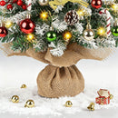 Lifeideas Mini Pine Christmas Tree for Holiday Decoration