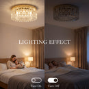 HOMCOM Crystal Ceiling Light with 225 Crystal Pendants, Gold Tone