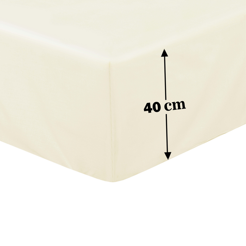 Lewis's Non-Iron Percale Sheet Range - Cream