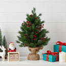 Lifeideas 2ft Small Christmas Tree with LED Lights