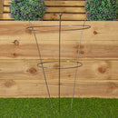Set Of 2 54cm X 40cm Medium Bare Rusted Steel Garden Plant Supports