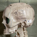 5ft (152cm) Battery Powered Light up Halloween Skeleton with Poseable Joints & Green LEDs