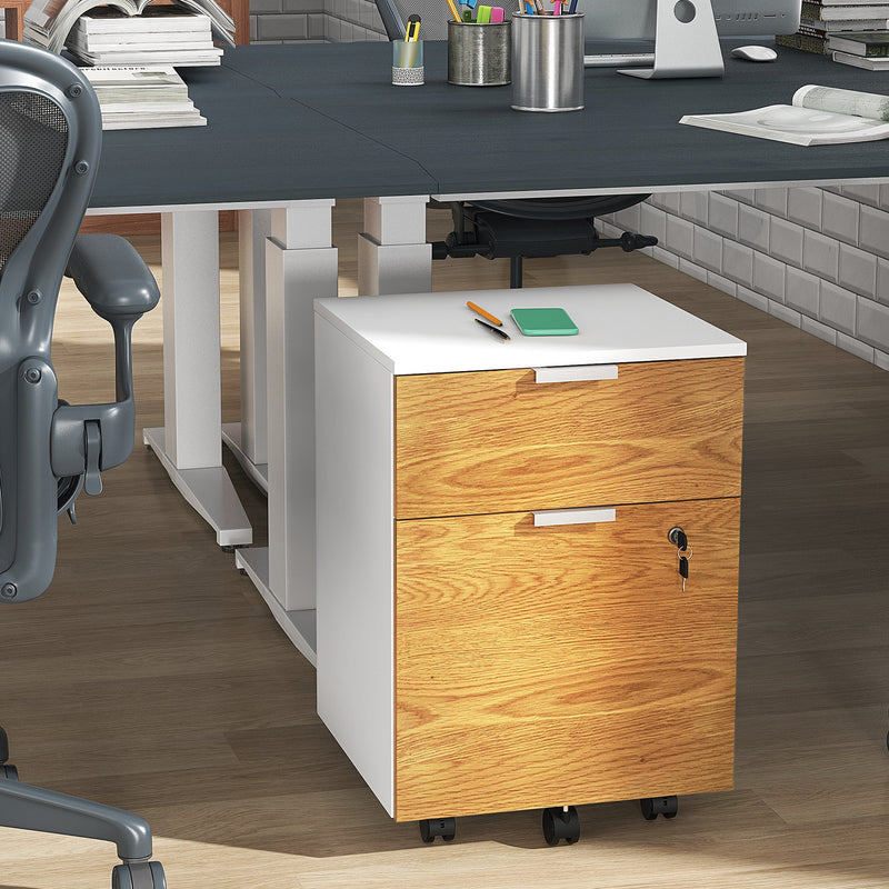 HOMCOM 2 Drawer Filing Cabinet with Adjustable Hanging Bars for A4 and Letter