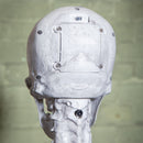 5ft (1.5m) Full Body Halloween Standing Skeleton With Posable Joints & Red LED Eyes