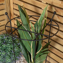 Tom Chambers Cottage Heavy Duty Black Metal Steel Herbaceous Garden Plant Support Grow Through Small 60cm X 35cm