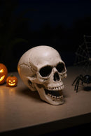 Halloween Realistic Plastic Skull Tabletop Decoration