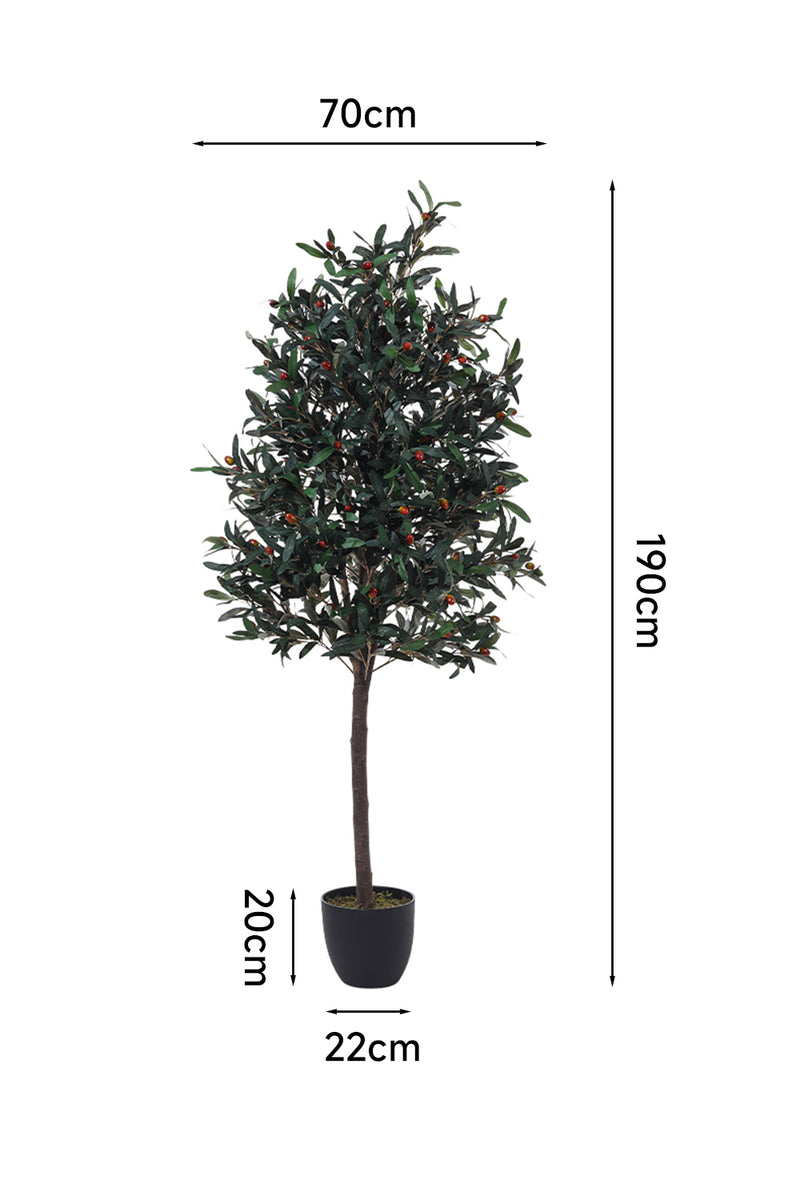Breeins Artificial Olive Tree Decorative Plant in Planter