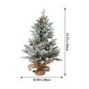 Lifeideas 3ft Small Christmas Tree with LED Lights
