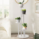 Breeins Modern Tiered Plant Display Rack