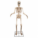 GIANT 8ft (240cm) Standing Indoor Outdoor Animatronic Halloween Skeleton Decoration