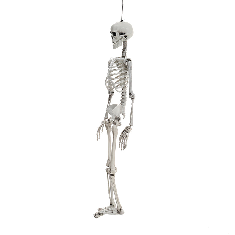 Halloween Realistic Full Body Skeleton Prop Decoration Posable Joints