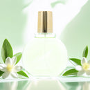 Gloria Vanderbilt Jardin À New York Eau De Parfum Fraiche 100ml