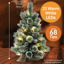 Christmas Sparkle Pre Lit Winter Berry Frosted Table Tree 2ft in Hession Bag