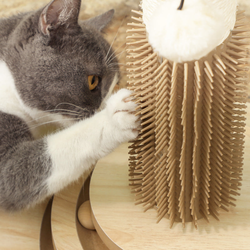 PawHut 49cm Cat Scratching Post With Interactive Track Ball Toy For Indoor