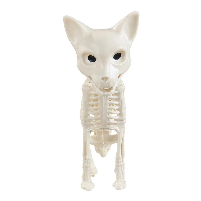 Spooky Halloween Cat Skeleton