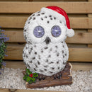 25cm Battery Operated Outdoor Blinkin' Snowy Christmas Owl with White LEDs & Timer Function