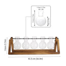 Lifeideas Wooden Plant Propagation Station with 5 Bulbs Vase