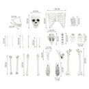 Halloween Realistic Skull and Bone Skeleton Decoration Kit