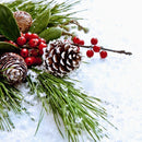 Lifeideas 30-Piece Pine Cone Christmas Tree Hanging Ornament Set