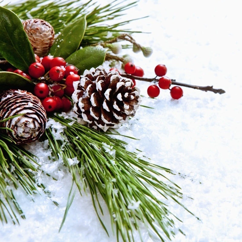 Lifeideas 30-Piece Pine Cone Christmas Tree Hanging Ornament Set