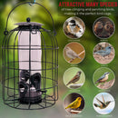 Wild Bird Hanging Nut Feeder with Squirrel Guard